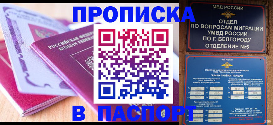 временная регистрация законно в Амурской области